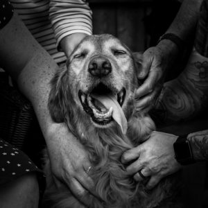 Gentle Healing & Rememberance