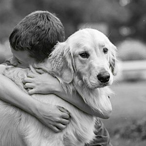 Adult guidance for supporting a child with pet loss